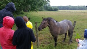 Lire la suite à propos de l’article Sortie au Lac de Madine