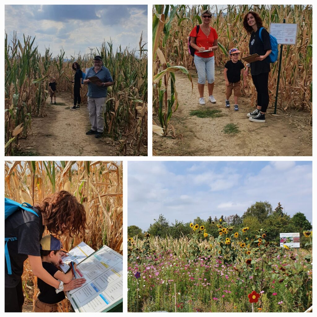 Parenlor - labyrinthe Vigy